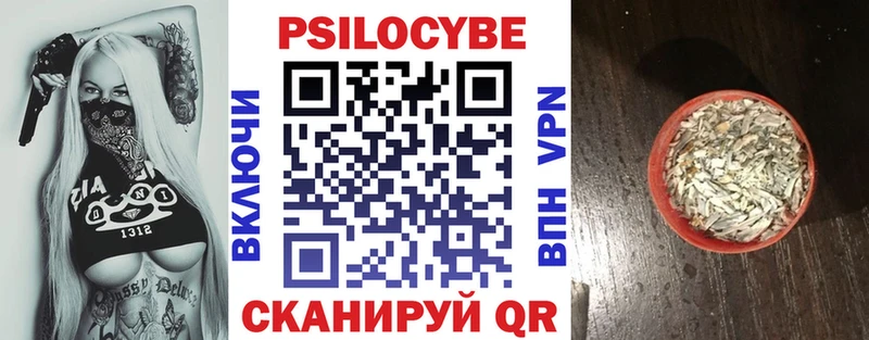 Купить закладки Зуевка Псилоцибиновые грибы Psilocybe